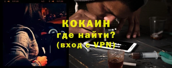 гашик Белокуриха