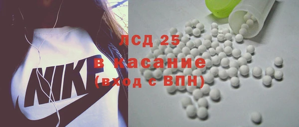 гашик Белокуриха