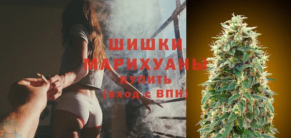 гашик Белокуриха