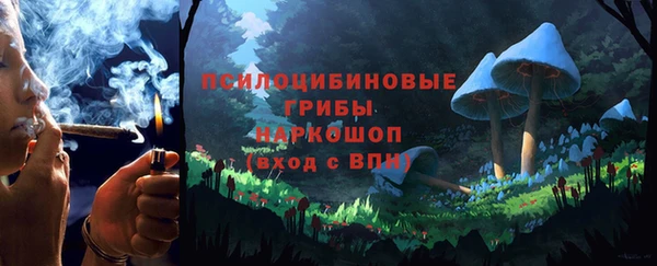 гашик Белокуриха