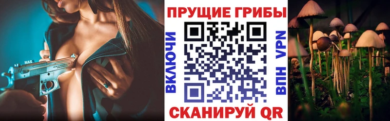 Галлюциногенные грибы прущие грибы Горячий Ключ