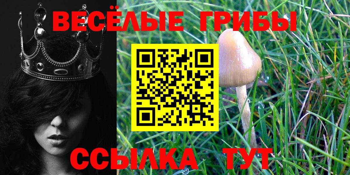 цены наркотик  Галлюциногенные грибы ЛСД  Вход с VPN  Горячий Ключ  Псилоцибиновые грибы MAGIC MUSHROOMS 